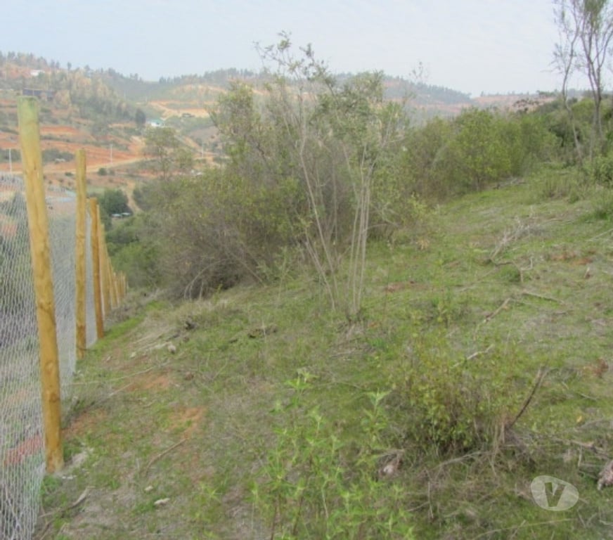 Parcelas en Venta Valparaíso Villa Alemana - Fotos de PARCELA EXCELENTE VISTA PEÑABLANCA CAJON DEL LEBU