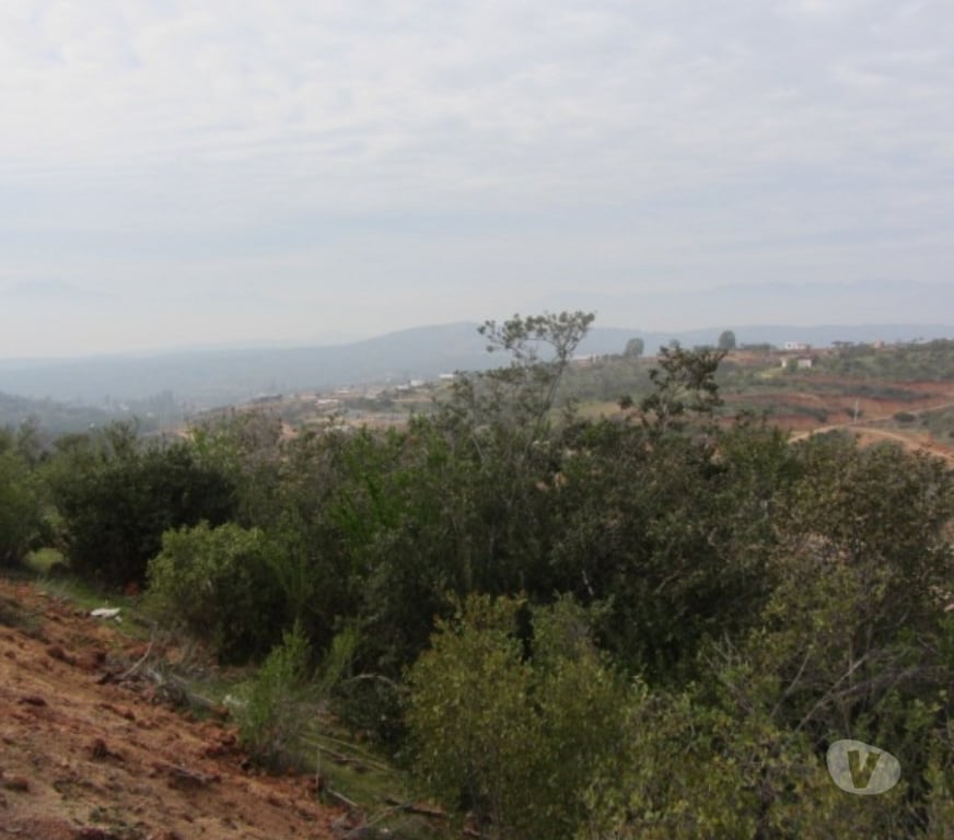 Parcelas en Venta Valparaíso Villa Alemana - Fotos de PARCELA EXCELENTE VISTA PEÑABLANCA CAJON DEL LEBU