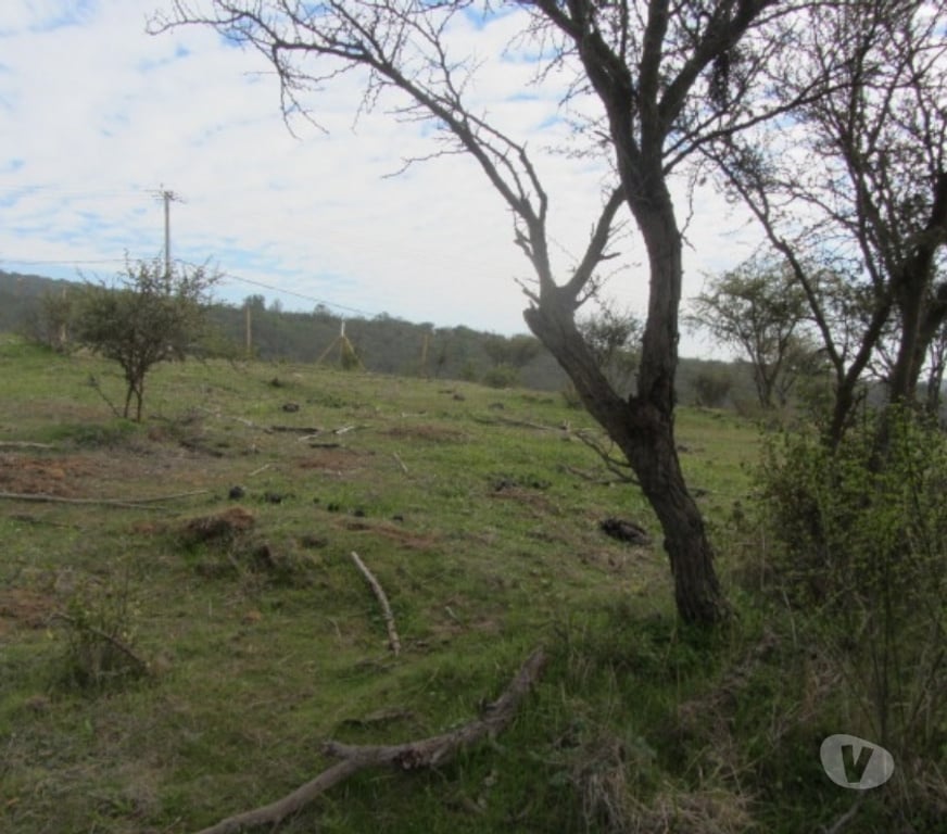 Parcelas en Venta Valparaíso Villa Alemana - Fotos de PARCELA EXCELENTE VISTA PEÑABLANCA CAJON DEL LEBU