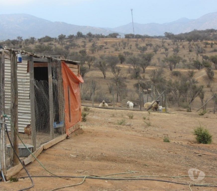 Parcelas en Venta Valparaíso Villa Alemana - Fotos de PARCELA URBANIZADA SECTOR EL PATAGUAL