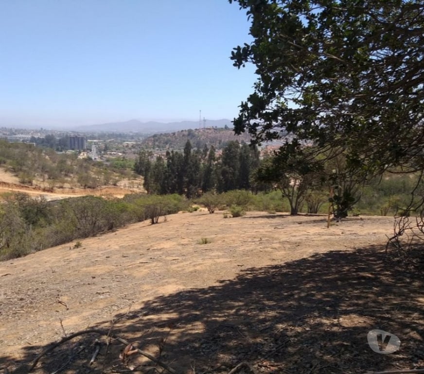 Parcelas en Venta Valparaíso Villa Alemana - Fotos de TERRENO SECTOR EL CARMEN PEÑABLANCA