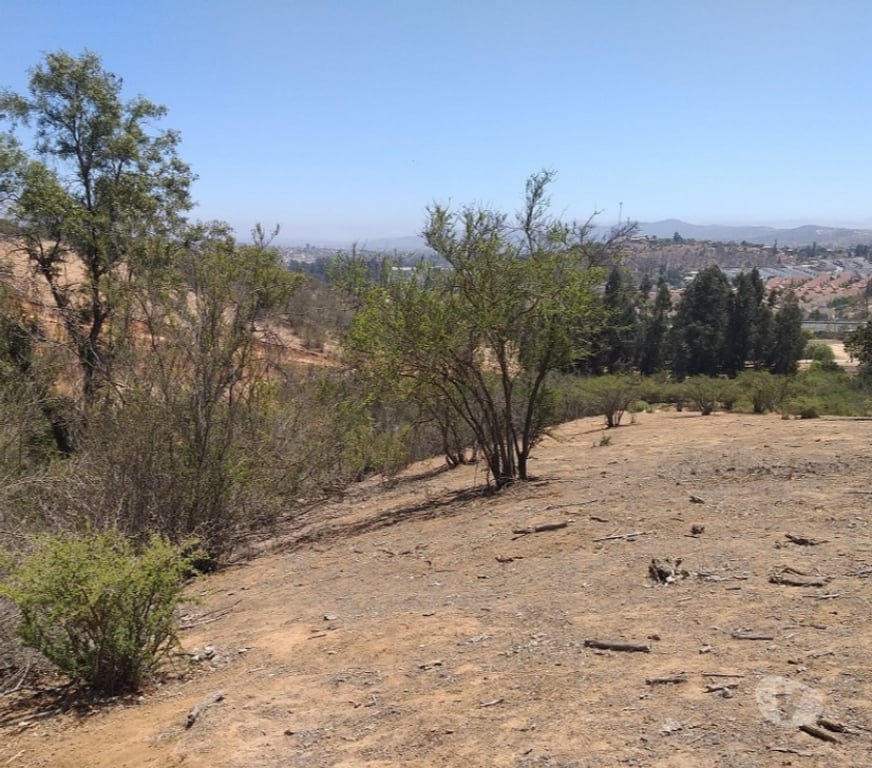 Parcelas en Venta Valparaíso Villa Alemana - Fotos de TERRENO LOMAS DEL CARMEN PEÑABLANCA