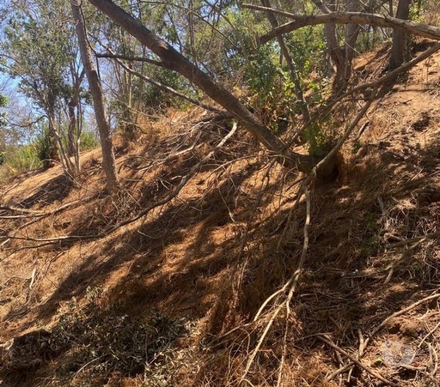 Parcelas en Venta Valparaíso Villa Alemana - Fotos de PARCELA SECTOR DE ALTA PLUSVALÍA CAMINO LA RINCONADA