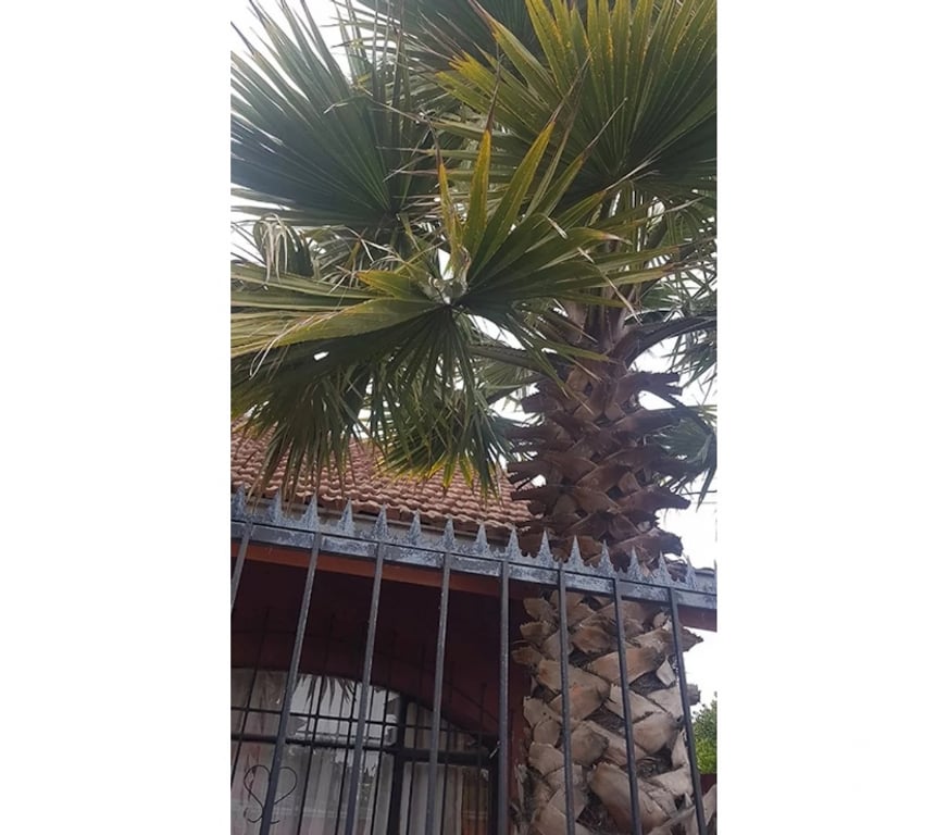 Bienes Raices Concepción Hualpén - Fotos de Casa Con Amplio Patio Y Puntera En Puerto Dominguez