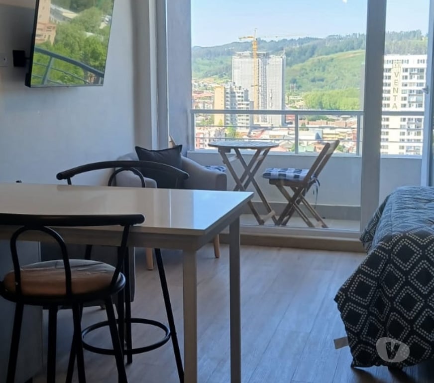 Arriendos Concepción Concepción - Fotos de Arriendo Departamento un ambiente Nuevo