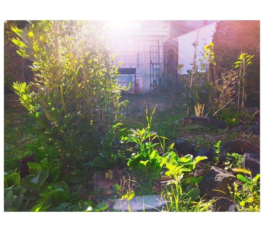 Arriendo de piezas Santiago Providencia - Fotos de Habitaciones privadas en Barrio Italia, a pasos del Metro