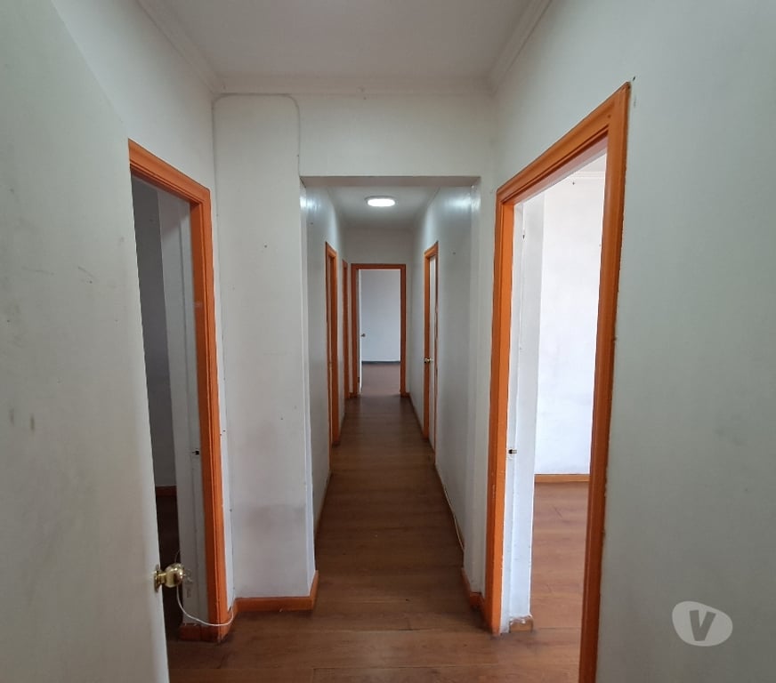 Arriendo oficinas Concepción Concepción - Fotos de Amplia Oficina, 5privados, ubicada en calle Brasil