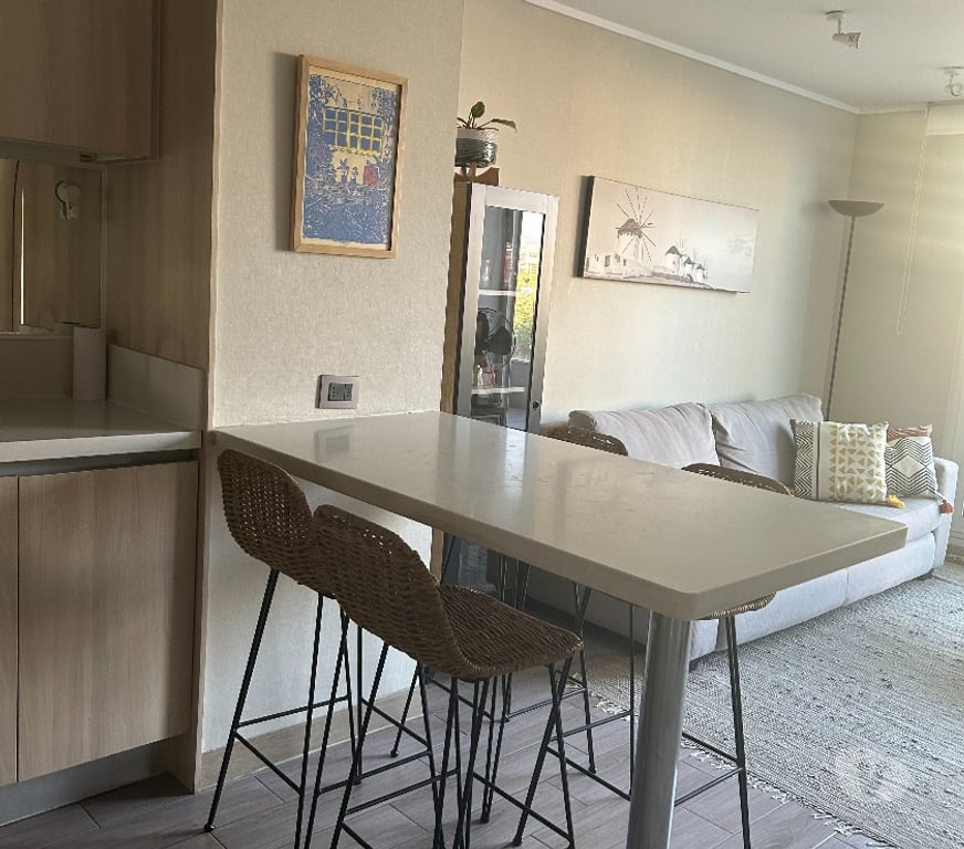 Bienes Raices Santiago Ñuñoa - Fotos de COMODO DEPAERTAMENTO EN BARRIO ITALIA