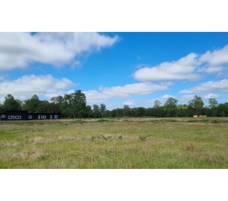 Bienes Raices Ranco Lago Ranco - Fotos de Vende casa nueva en parcela, cercano a Lago Ranco