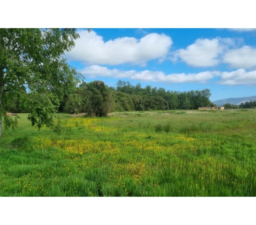 Bienes Raices Ranco Lago Ranco - Fotos de Vende casa nueva en parcela, cercano a Lago Ranco