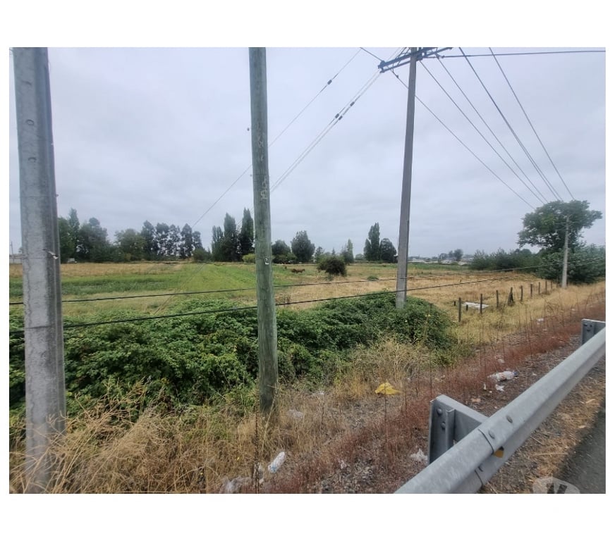 Parcelas en Venta Ñuble Chillán - Fotos de Terreno 5.7 Ha Orilla Ruta 5 Sur. Chillán. Excelente Precio
