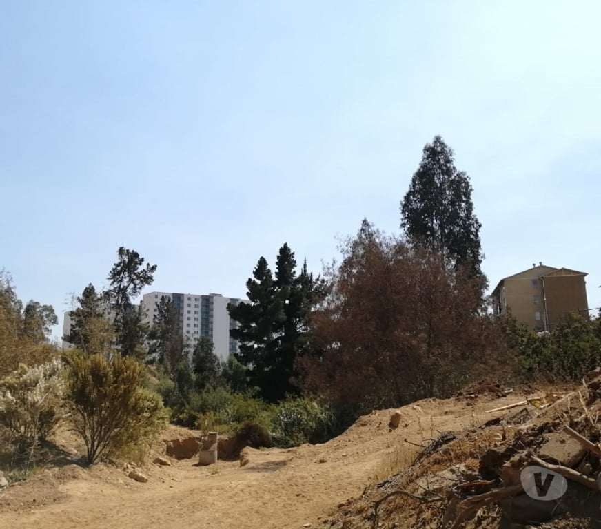 Parcelas en Venta Valparaíso Viña del Mar - Fotos de TERRENO IDEAL INVERSIÓN REÑACA ALTO.