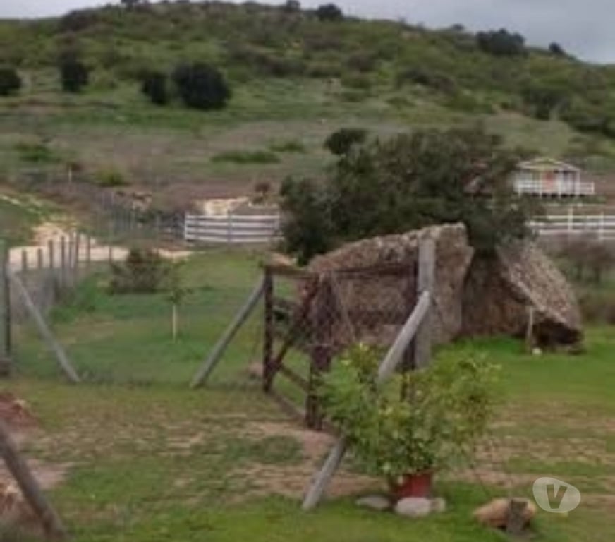 Parcelas en Venta Cardenal Caro Litueche - Fotos de Parcela 5000mts2 con casa, Litueche solo Contado!