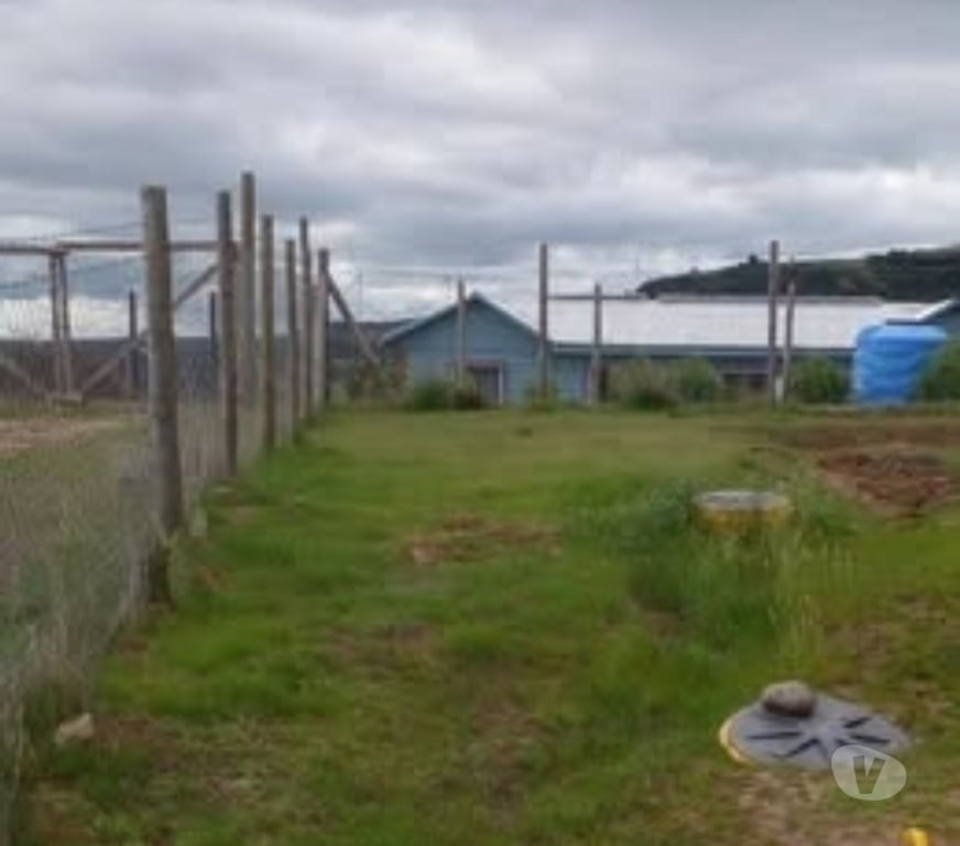 Parcelas en Venta Cardenal Caro Litueche - Fotos de Parcela 5000mts2 con casa, Litueche solo Contado!