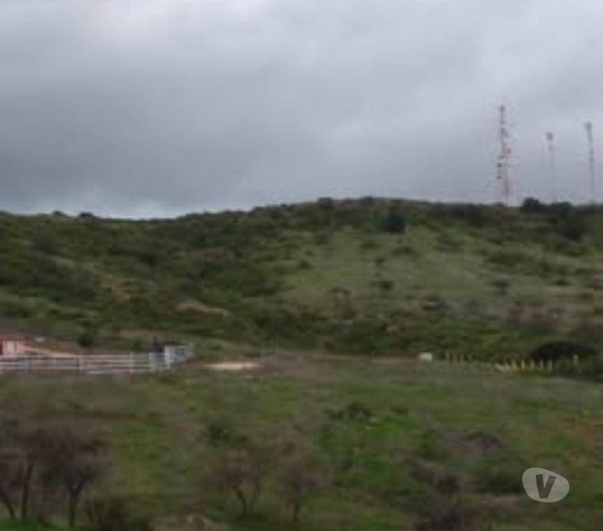 Parcelas en Venta Cardenal Caro Litueche - Fotos de Parcela 5000mts2 con casa, Litueche solo Contado!