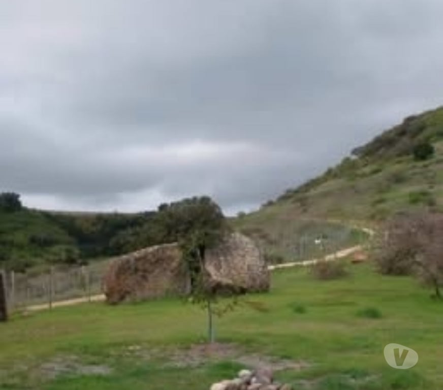 Parcelas en Venta Cardenal Caro Litueche - Fotos de Parcela 5000mts2 con casa, Litueche solo Contado!