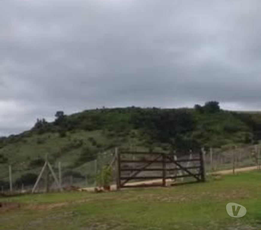 Parcelas en Venta Cardenal Caro Litueche - Fotos de Parcela 5000mts2 con casa, Litueche solo Contado!