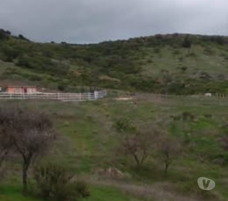 Parcelas en Venta Cardenal Caro Litueche - Fotos de Parcela 5000mts2 con casa, Litueche solo Contado!