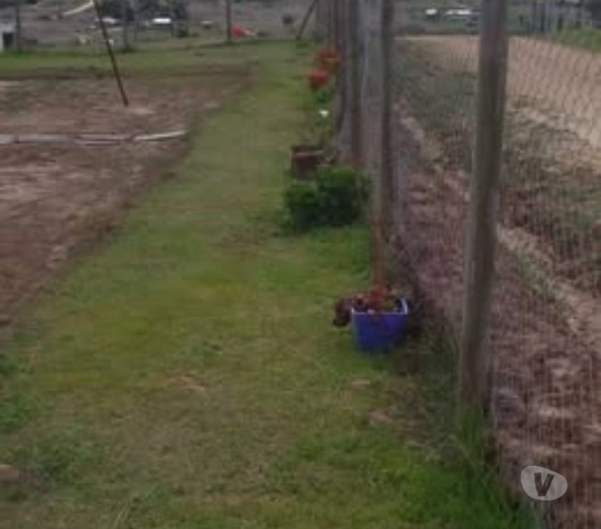 Parcelas en Venta Cardenal Caro Litueche - Fotos de Parcela 5000mts2 con casa, Litueche solo Contado!