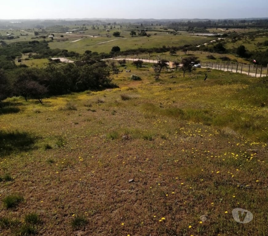 Parcelas en Venta Cardenal Caro Litueche - Fotos de Parcela 5000mts2 Litueche Solo al Contado !