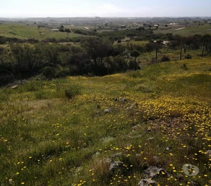 Terrenos Litueche Cardenal Caro - Fotos de Parcela 5000mts2 Litueche Solo al Contado !