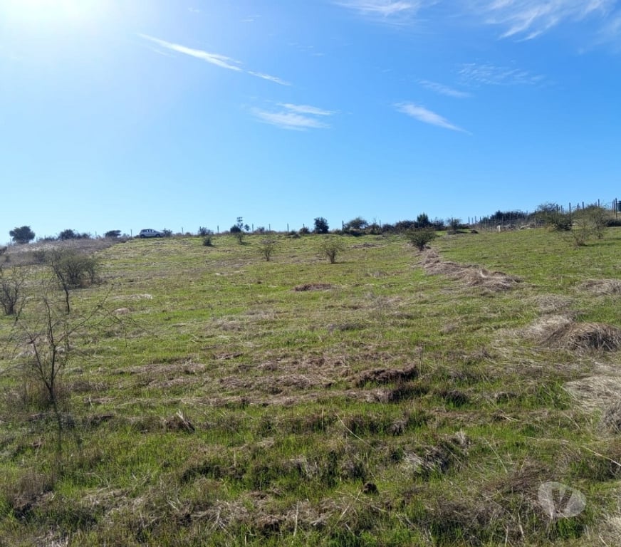 Parcelas en Venta Cardenal Caro Litueche - Fotos de Parcela 5000 mts2 Litueche , Solo al Contado !