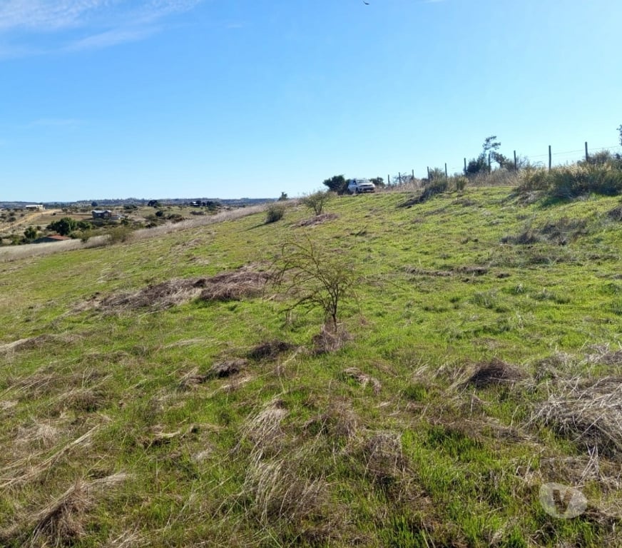 Parcelas en Venta Cardenal Caro Litueche - Fotos de Parcela 5000 mts2 Litueche , Solo al Contado !