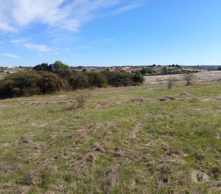 Parcelas en Venta Cardenal Caro Litueche - Fotos de Parcela 5000 mts2 Litueche , Solo al Contado !
