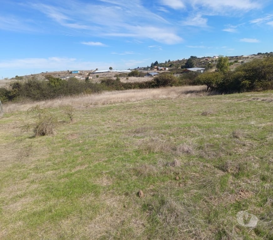 Parcelas en Venta Cardenal Caro Litueche - Fotos de Parcela 5000 mts2 Litueche , Solo al Contado !