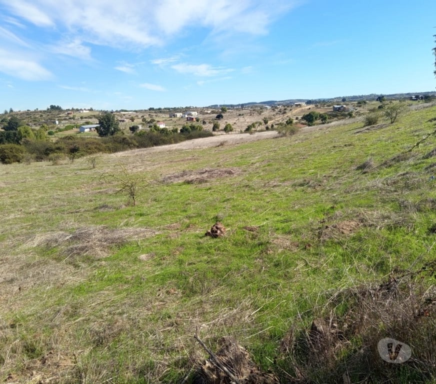 Parcelas en Venta Cardenal Caro Litueche - Fotos de Parcela 5000 mts2 Litueche , Solo al Contado !