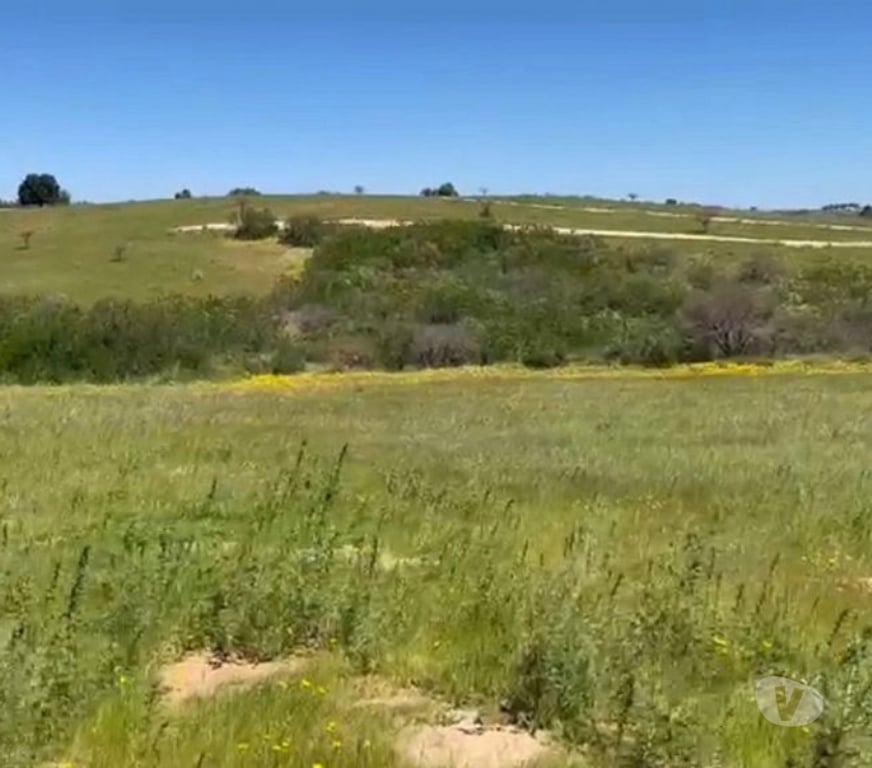 Parcelas en Venta Cardenal Caro Litueche - Fotos de Parcela 5000mts2 Los Boldos de Litueche solo Contado!