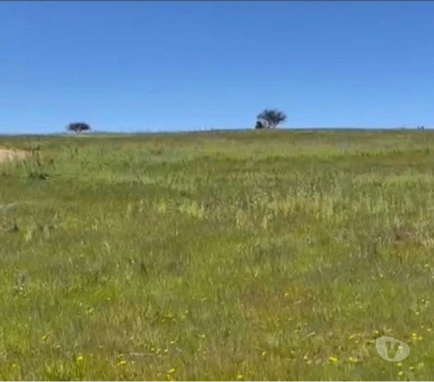 Parcelas en Venta Cardenal Caro Litueche - Fotos de Parcela 5000mts2 Los Boldos de Litueche solo Contado!