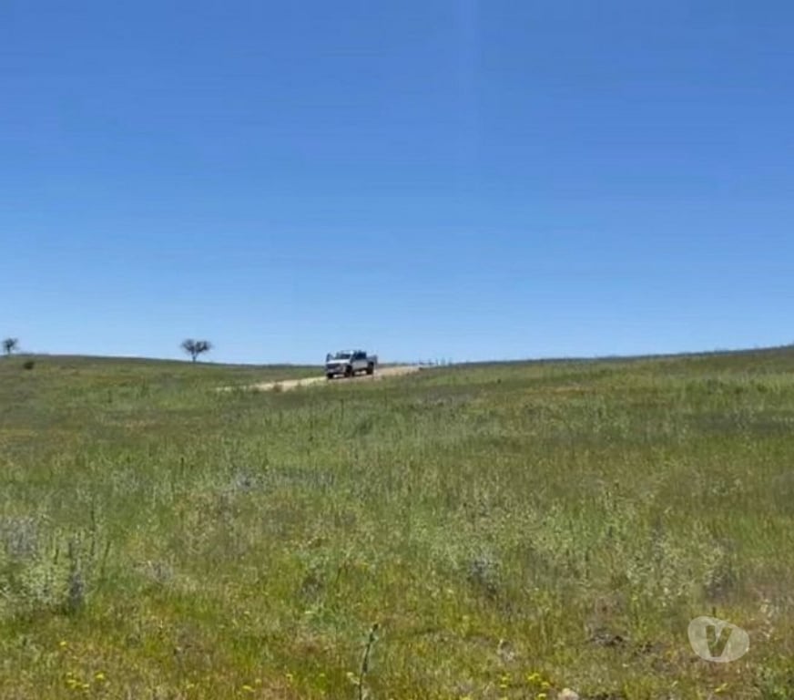 Parcelas en Venta Cardenal Caro Litueche - Fotos de Parcela 5000mts2 Los Boldos de Litueche solo Contado!