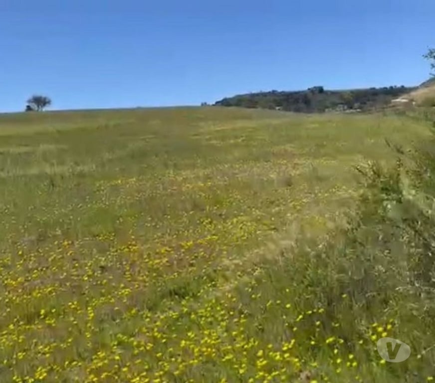 Parcelas en Venta Cardenal Caro Litueche - Fotos de Parcela 5000mts2 Los Boldos de Litueche solo Contado!