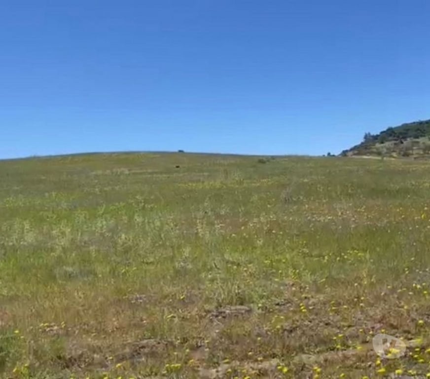 Parcelas en Venta Cardenal Caro Litueche - Fotos de Parcela 5000mts2 Los Boldos de Litueche solo Contado!