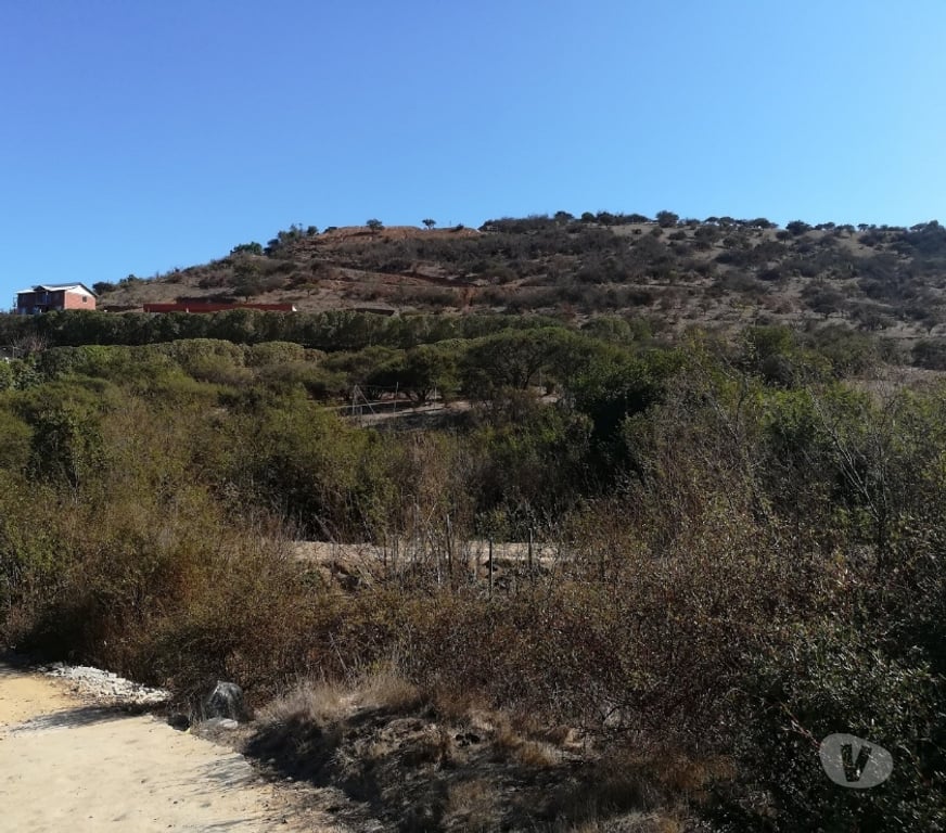 Parcelas en Venta Quillota Limache - Fotos de PARCELA CAMINO LOS LAURELES, LIMACHE