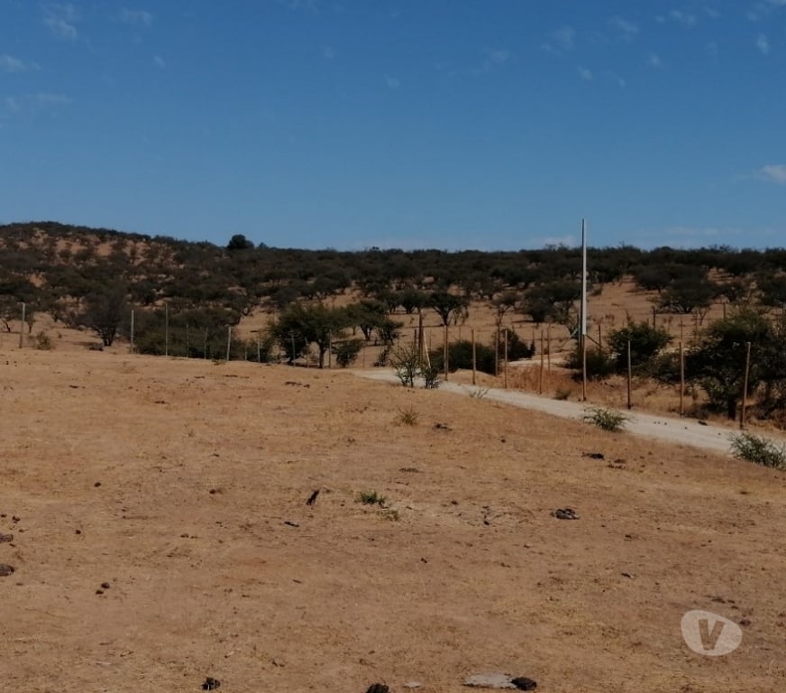 Parcelas en Venta Quillota Limache - Fotos de PARCELA PLANA SECTOR LOS BORRISQUEROS LIMACHE.
