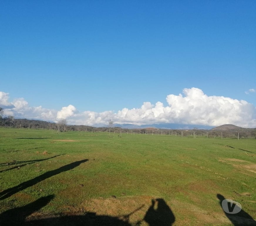 Parcelas en Venta Quillota Limache - Fotos de PARCELA PLANA SECTOR LOS BORRISQUEROS LIMACHE.