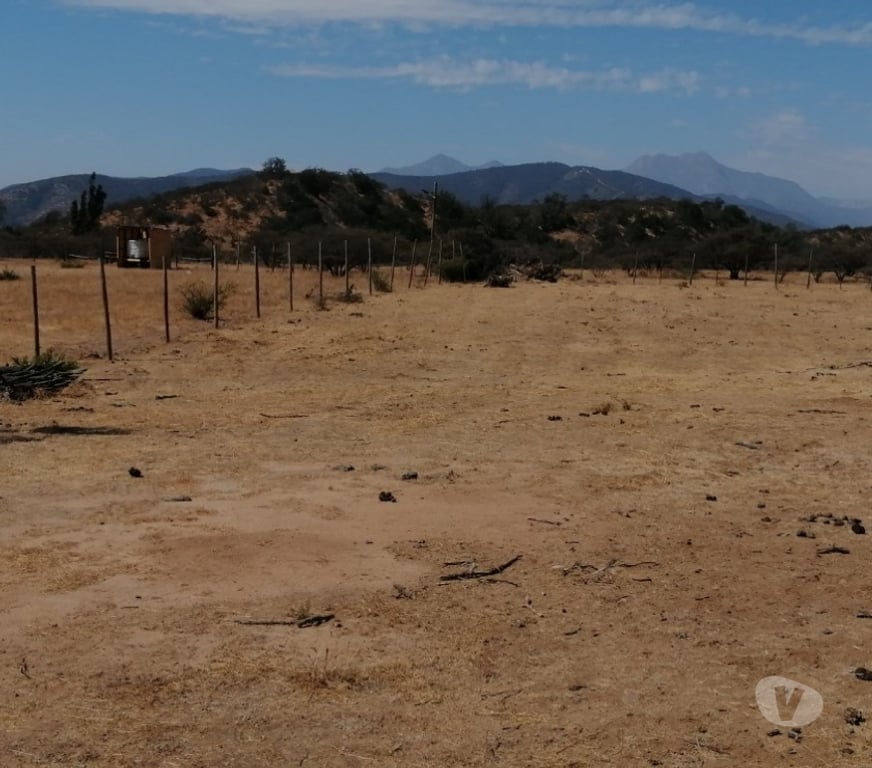 Parcelas en Venta Quillota Limache - Fotos de PARCELA PLANA SECTOR LOS BORRISQUEROS LIMACHE.