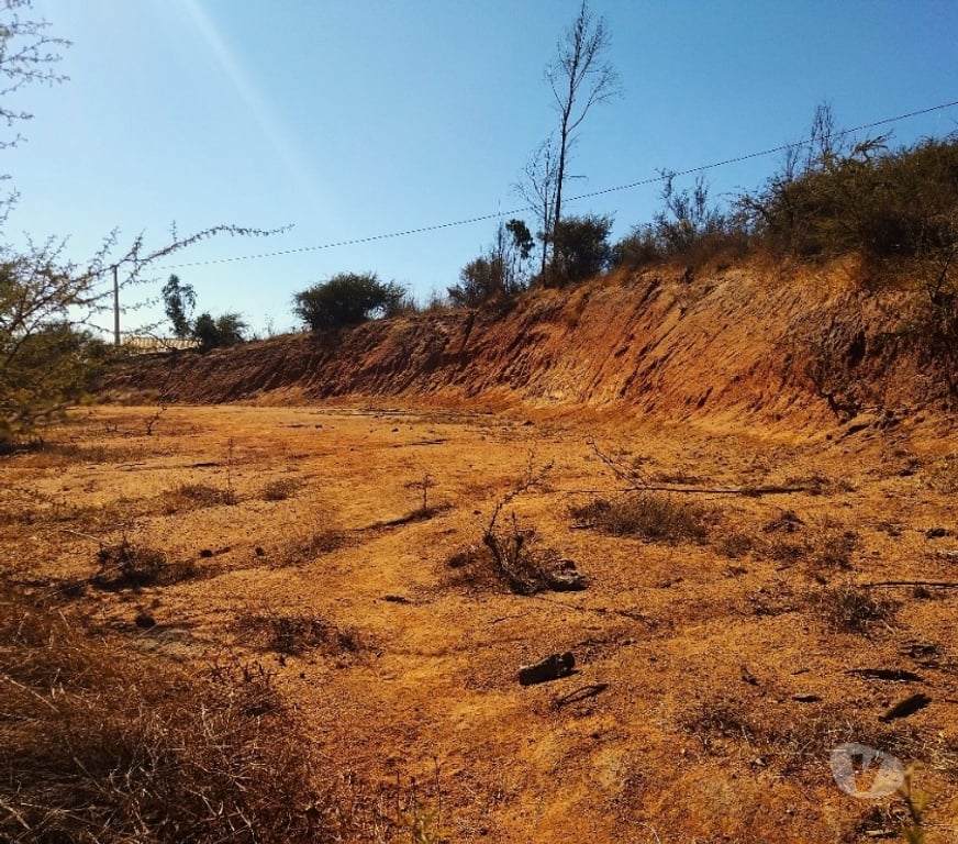 Parcelas en Venta Quillota Limache - Fotos de PARCELA FUNDO EL LEBU PEÑABLANCA