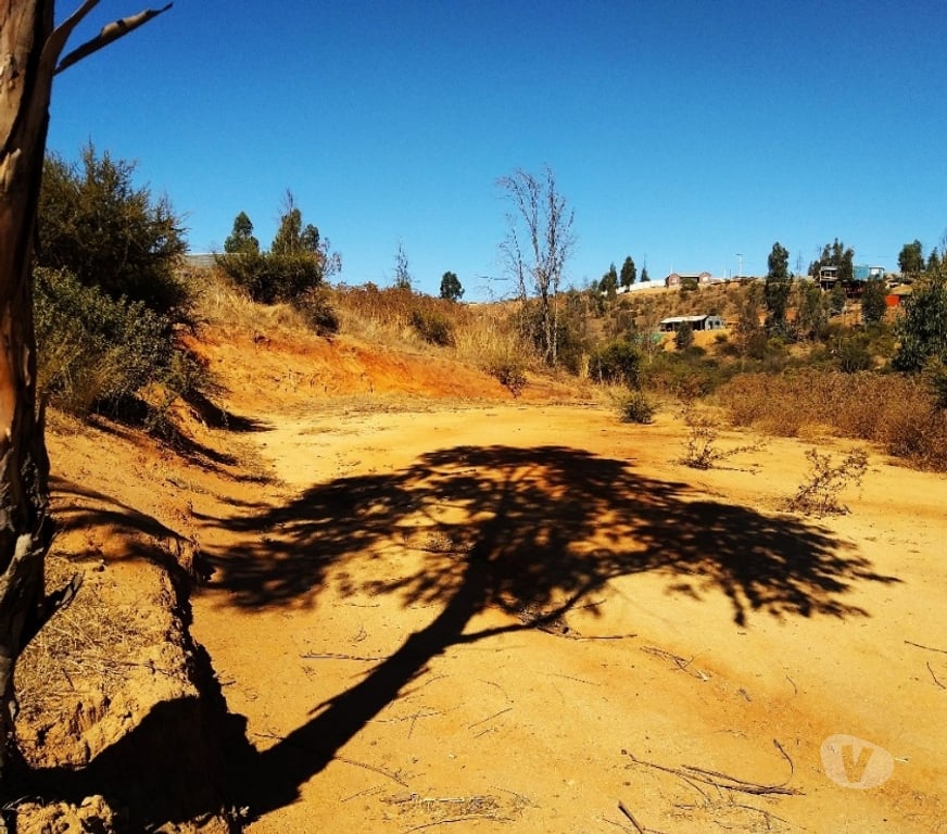 Parcelas en Venta Quillota Limache - Fotos de PARCELA FUNDO EL LEBU PEÑABLANCA