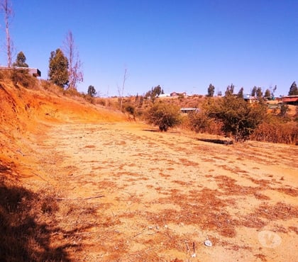 Parcelas Limache Quillota - Fotos de PARCELA FUNDO EL LEBU PEÑABLANCA