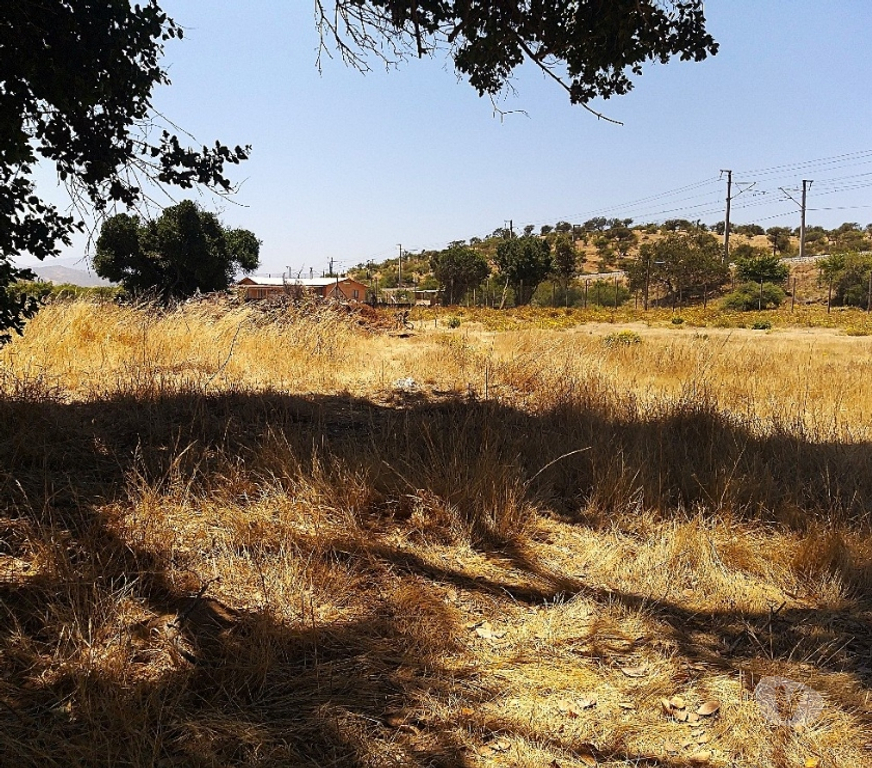 Parcelas en Venta Quillota Limache - Fotos de PARCELA PLANA A MINUTOS DE VILLA ALEMANA