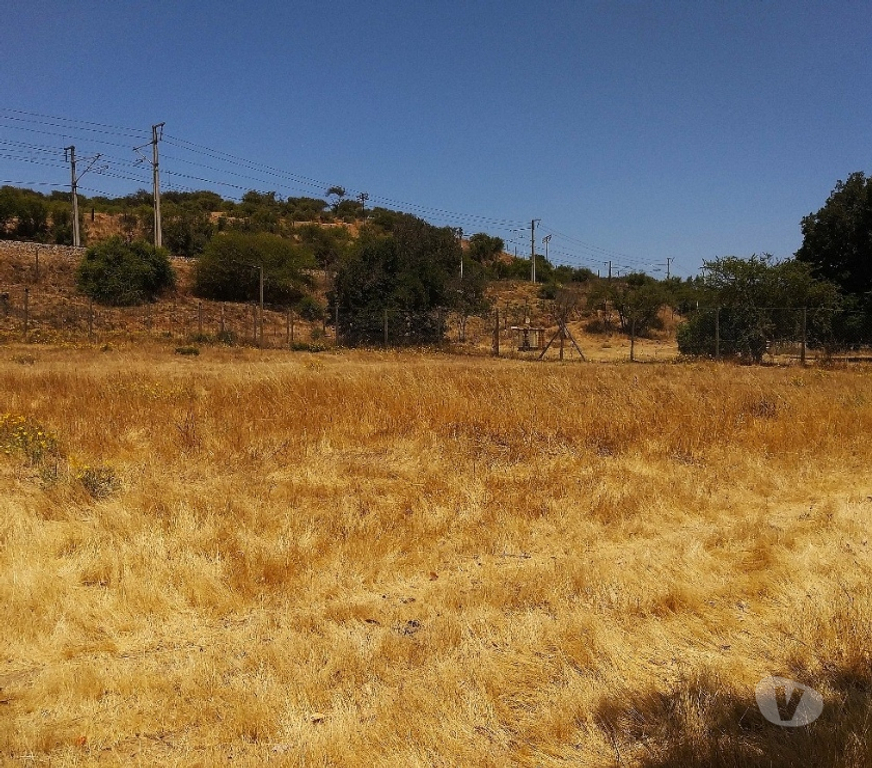 Parcelas en Venta Quillota Limache - Fotos de PARCELA PLANA A MINUTOS DE VILLA ALEMANA