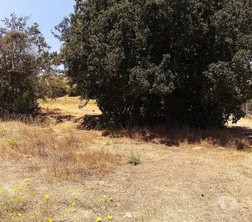 Parcelas en Venta Quillota Limache - Fotos de PARCELA PLANA A MINUTOS DE VILLA ALEMANA