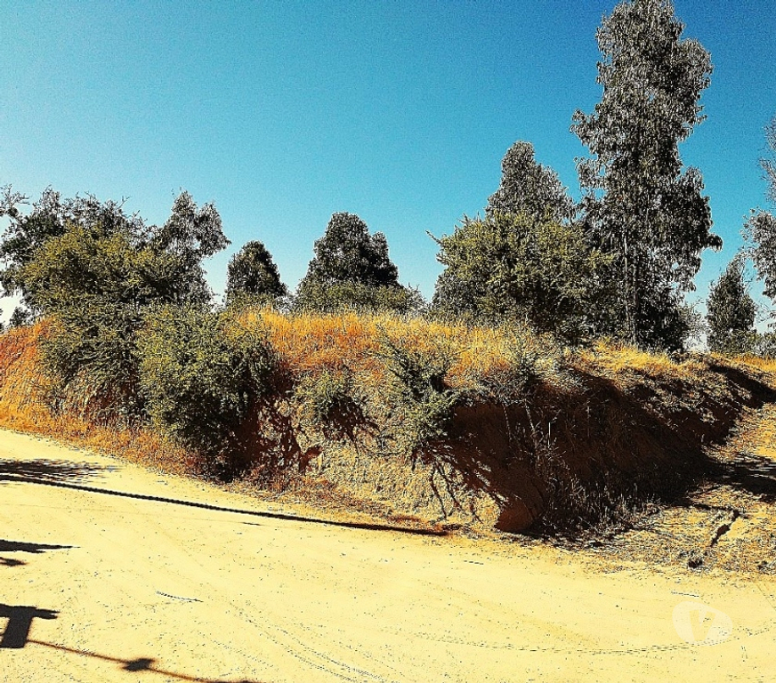 Parcelas en Venta Quillota Limache - Fotos de PARCELA EN VENTA CAJON DEL LEBU