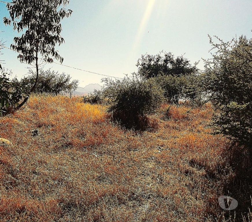 Parcelas en Venta Quillota Limache - Fotos de PARCELA EN VENTA CAJON DEL LEBU