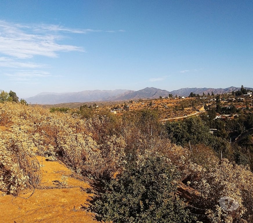 Parcelas en Venta Quillota Limache - Fotos de PARCELA 5000 MT2 FUNDO EL LEBU