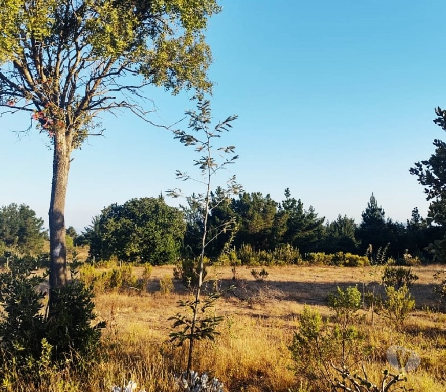 Parcelas en Venta Valparaíso Casablanca - Fotos de PARCELA EN VENTA SECTOR MELOSILLA