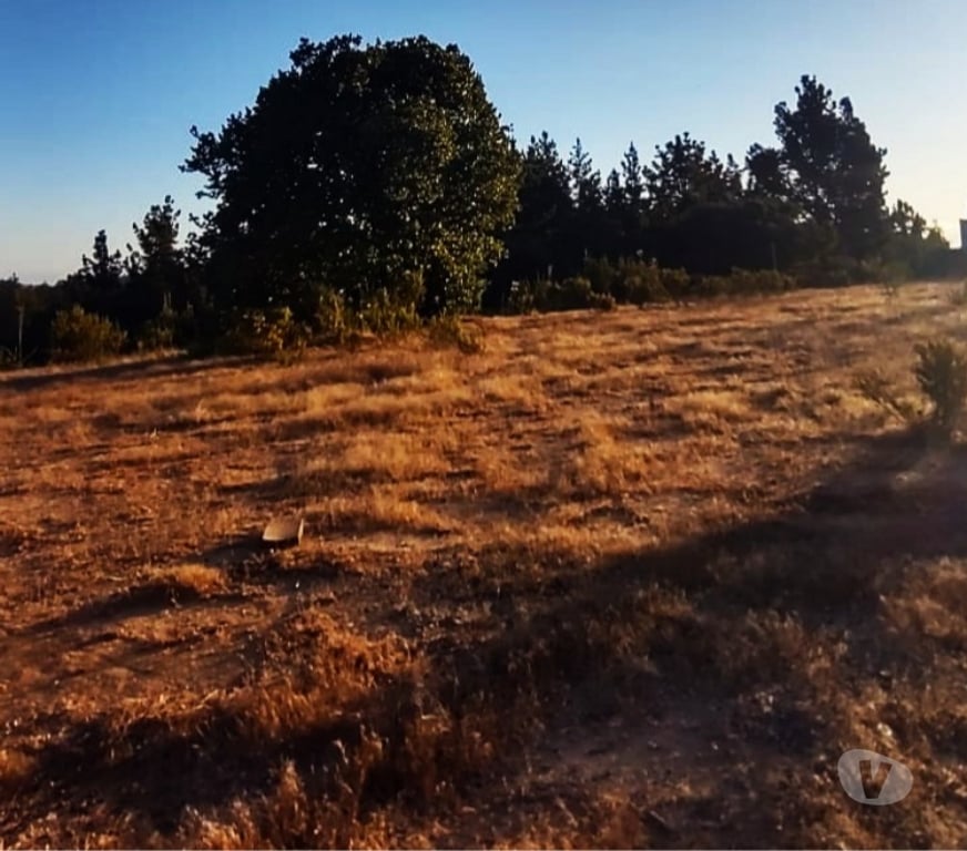 Parcelas en Venta Valparaíso Casablanca - Fotos de PARCELA EN VENTA SECTOR MELOSILLA